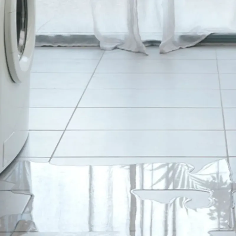 Appliance Leak Cleanup in Guin, AL