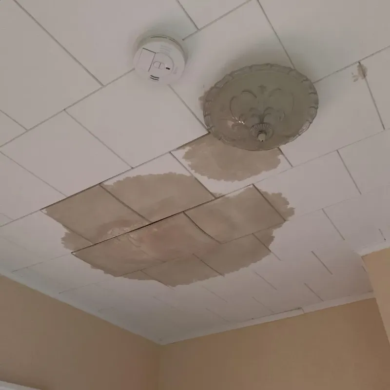 Ceiling Water Damage Repair in Guin, AL
