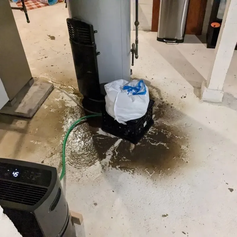 Sewage Backup Cleanup Service in Guin, AL